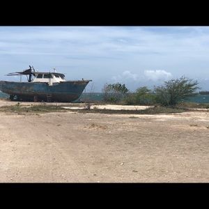 Meet your Posher, Anita